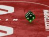 Top 6 crypto casinos of May 2026 Top 6 crypto casinos of May 2026