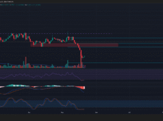 Why Bitcoin Cash traders can expect a relief rally after BCH’s 25% price bleed Bitcoin Cash 1-day Chart