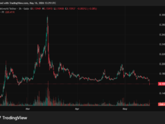 Why Did Pi Network’s (PI) Price Crash to a 3-Month Low Today? Pi Network (PI) Price on CoinGecko