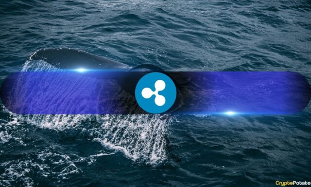 Why Ripple (XRP) Accumulation Continued Despite Market Fear and Liquidations