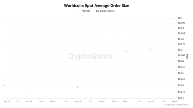 Worldcoin reclaims $1B market cap - Will $0.30 spark WLD's Worldcoin spot average order size