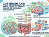Gut-Brain Axis: Why Your Stomach Might Be Running Your Mood