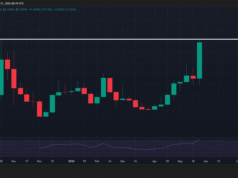 Crypto market’s weekly winners and losers – XLM, DEXE, ZEC, BCH H
