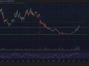 Injective: Why INJ’s 5% pullback may not spell trouble IF… Injective: Why INJ’s 5% pullback may not spell trouble IF…