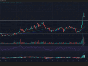 Mapping BNB’s path to $780 – Can rising leverage sustain the rally? Mapping BNB’s path to $780 - Can rising leverage sustain the rally?