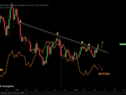 Why altcoin season remains elusive – The divergence traders can’t ignore altcoins