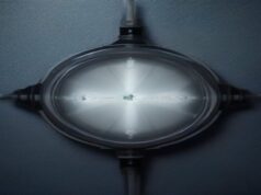 Why Crypto Modular Blockchains Are Reshaping Your Network Speed