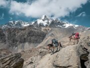 Simple Cognitive Load Hacks To Simplify Your Daily Mental Space