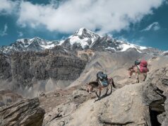 Simple Cognitive Load Hacks To Simplify Your Daily Mental Space
