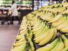 Smart Grocery Budget Hacks To Cut Your Weekly Food Costs