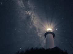 11 Smart Ways to Use ai productivity tools updates For Maximum Output