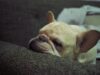 How Somatic Exercises For Stress Relief Are Changing Your Daily Routine