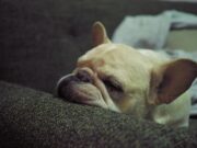 How Somatic Exercises For Stress Relief Are Changing Your Daily Routine