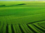 How Earn While You Sleep Yield Farming Is Changing Passive Income