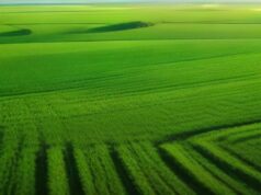 How Earn While You Sleep Yield Farming Is Changing Passive Income