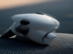 How to Use Everyday AI Tools for Routine Optimization