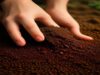 The Surprising Power of Soil Health for Your Overall Wellness