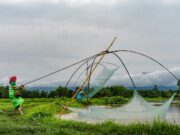 India: New Front At Kangpokpi, Manipur – Analysis