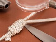 From Evidence To Intelligence: Forensic Science Strengthens Fight Against Transnational Crime – Analysis