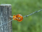 Router Protocol to Shut Down, Burn 303M ROUTE Tokens