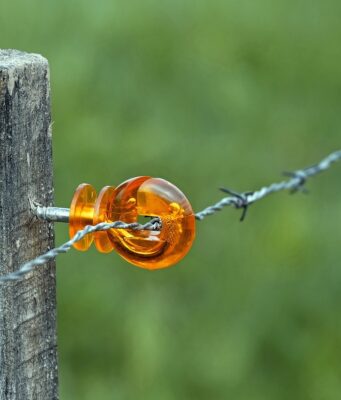 Router Protocol to Shut Down, Burn 303M ROUTE Tokens
