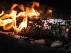 US Bitcoin ETFs Log $450.4M Outflow as FBTC Leads