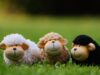 THE SHEEP DETECTIVES: A Flawed, Conservative Paddington Imitator