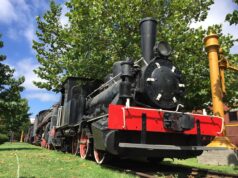 Tren De Aragua’s Expansion In Brazil: Criminal Adaptation, Strategic Alliances, And A New Security Challenge – Analysis