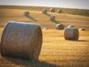 Why Crypto Restaking Protocols Are Changing Your Yield Strategy