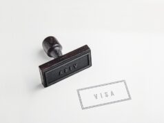Visa Targets Crossmint Memecoin Card Rewards Loophole