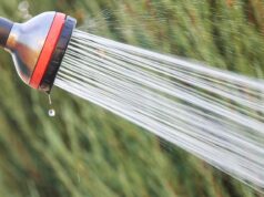 The Surprising Power of Cold Showers for Stress Relief