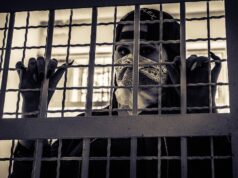 TIFF 2026: AH GIRL and ARRESTED MEMORY