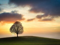 How Daily Routine Optimization Saves Your Time Every Single Day