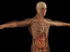 How **Somatic Exercises for Nervous System Regulation** Can Change Your Life